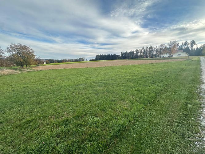 5e11adae-575b-4b08-9fbf-127e0e9584bc